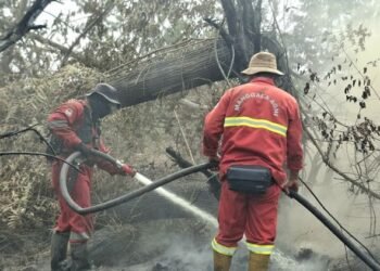 Petugas memadamkan api di area hutan. Kemenhut mengemukakan peningkatkan titik panas atau hot spot pada 27 Agustus 2026.(Foto: Dok. Kemenhut)