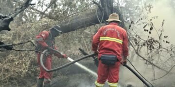 Petugas memadamkan api di area hutan. Kemenhut mengemukakan peningkatkan titik panas atau hot spot pada 27 Agustus 2026.(Foto: Dok. Kemenhut)