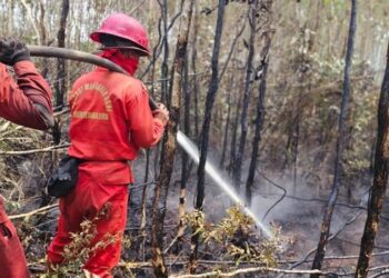 Penanganan karhutla di Sumatra Selatan.(Foto: Humas Kemenhut)