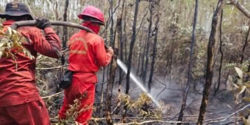 Penanganan karhutla di Sumatra Selatan.(Foto: Humas Kemenhut)