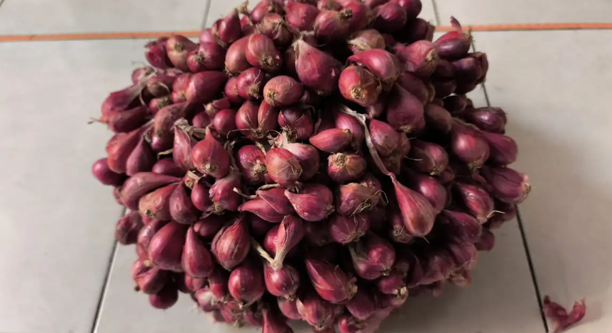 Bawang merah.(Foto: BRIN)