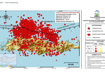 Gempa susulan di Flores NTT.(Image: BMKG)