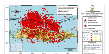 Gempa susulan di Flores Nusa Tenggara Timur per Rabu 19 Agustus 2026.(Image: BMKG)