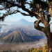 Gunung Bromo.(Foto: Dok. Kemenpar)