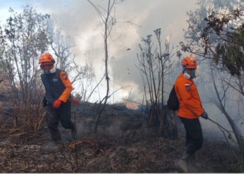 Si jago merah yang membakar wilayah Taman Nasional Bromo Tengger Semeru (TNBTS), Kabupaten Lumajang Provinsi Jawa Timur (27/8) (Foto: BPBD Kabupaten Lumajang.