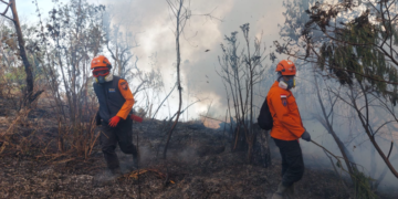 Si jago merah yang membakar wilayah Taman Nasional Bromo Tengger Semeru (TNBTS), Kabupaten Lumajang Provinsi Jawa Timur (27/8) (Foto: BPBD Kabupaten Lumajang.