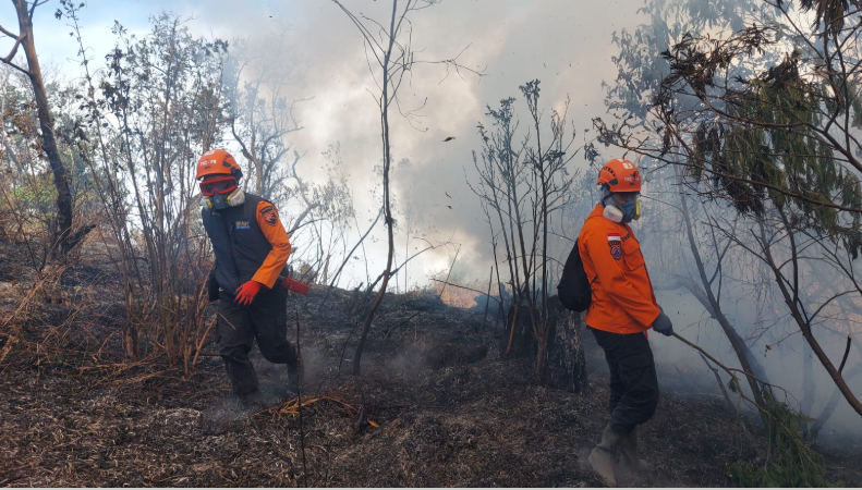 Si jago merah yang membakar wilayah Taman Nasional Bromo Tengger Semeru (TNBTS), Kabupaten Lumajang Provinsi Jawa Timur (27/8) (Foto: BPBD Kabupaten Lumajang.