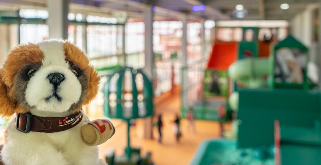 Swiss-Belresort Dago Heritage x Hompimplay