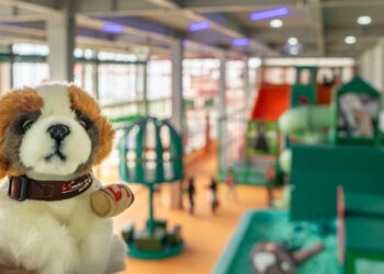 Swiss-Belresort Dago Heritage x Hompimplay