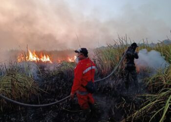 Kebakaran hutan di kawasan Resor Kuala Penet, Taman Nasional Way Kambas, Kabupaten Lampung Timur, berhasil dipadamkan pada Sabtu, 22 Agustus 2026, sekitar pukul 19.00 WIB.(Foto: Dok. Kemenhut)