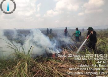 Kebakaran di area Taman Nasional Way Kambas.(Foto: Humas Kemenhut)