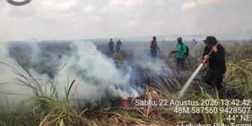 Kebakaran di area Taman Nasional Way Kambas.(Foto: Humas Kemenhut)
