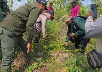 Penelusuran di koridor Gajah Sumatera di Benakat Sumsel.(Foto: Humas Kemenhut)