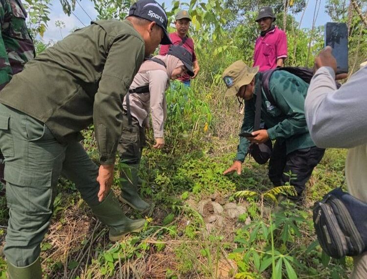 Penelusuran di koridor Gajah Sumatera di Benakat Sumsel.(Foto: Humas Kemenhut)