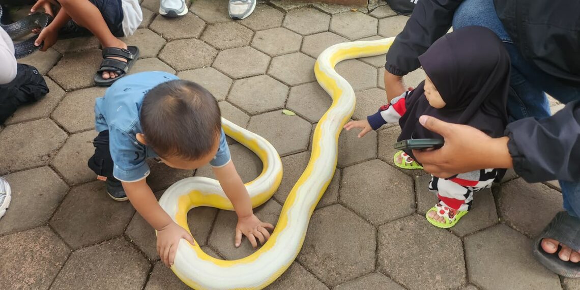 Komunitas Reptil Bandung saat mengedukasi warga tentang ular.(Foto: Humas Pemkot Bandung)