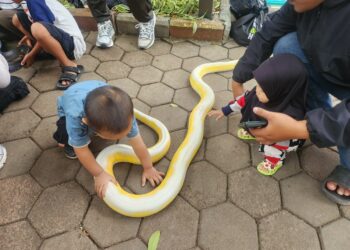 Komunitas Reptil Bandung saat mengedukasi warga tentang ular.(Foto: Humas Pemkot Bandung)