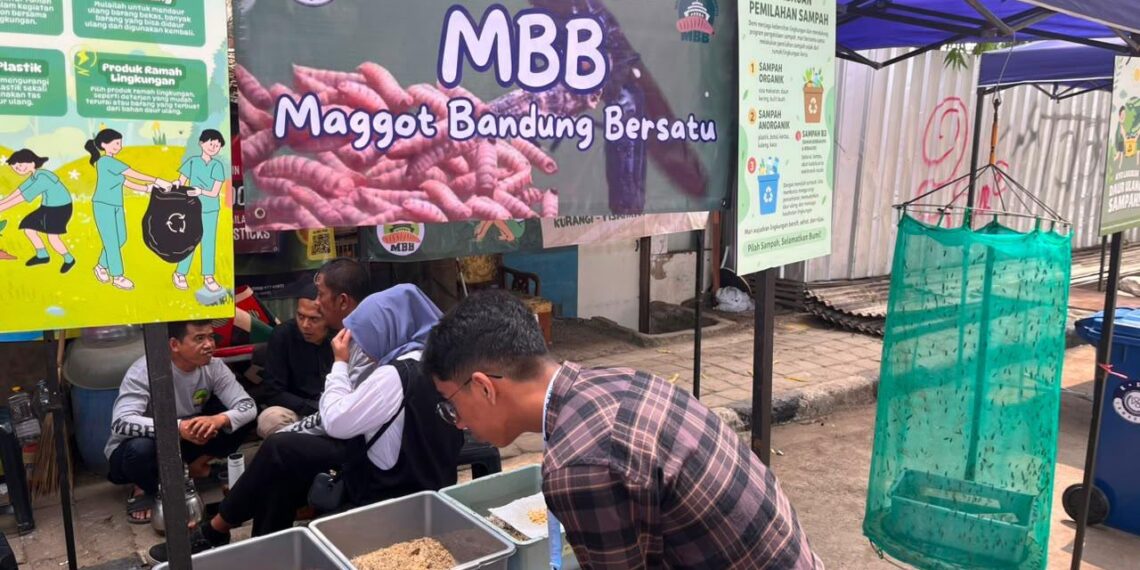 Maggot Bandung Bersatu.(Foto: Humas Pemkot Bandung)