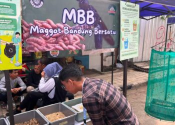 Maggot Bandung Bersatu.(Foto: Humas Pemkot Bandung)