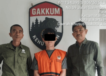 Seorang warga negara Republik Korea berinisial JJ (25) diamankan saat hendak terbang menuju Seoul pada Selasa, 28 Juli 2026. Membawa 8 ekor biawak.(Foto: Humas Kemenhut)