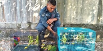 Barang bukti perdagangan satwa dilindungi.(Foto: Humas Kemenhut)