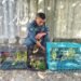Barang bukti perdagangan satwa dilindungi.(Foto: Humas Kemenhut)