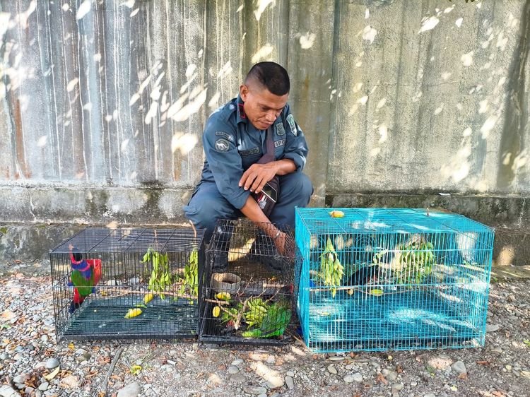 Barang bukti perdagangan satwa dilindungi.(Foto: Humas Kemenhut)