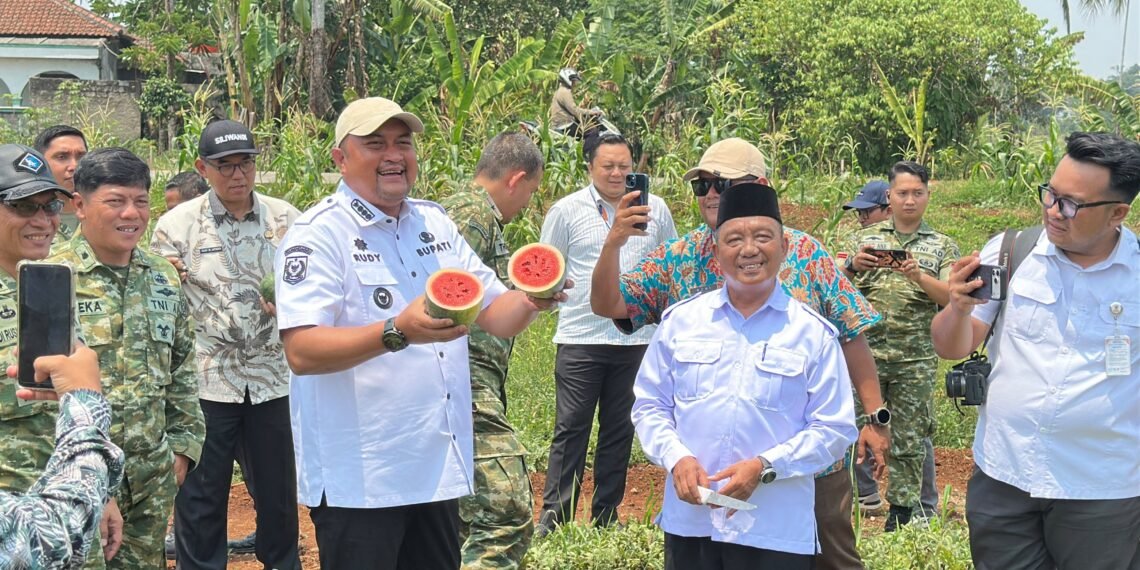 Saat memantau langsung pembangunan Jalan Bomang dan kegiatan integrated farming, Bupati Bogor Rudy Susmanto turut mencicipi semangka inul hasil panen kelompok tani yang memanfaatkan lahan di kawasan tersebut.(Foto: Diskominfo Kab. Bogor)
