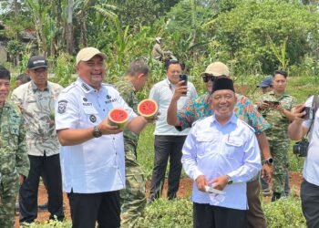 Saat memantau langsung pembangunan Jalan Bomang dan kegiatan integrated farming, Bupati Bogor Rudy Susmanto turut mencicipi semangka inul hasil panen kelompok tani yang memanfaatkan lahan di kawasan tersebut.(Foto: Diskominfo Kab. Bogor)