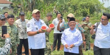 Saat memantau langsung pembangunan Jalan Bomang dan kegiatan integrated farming, Bupati Bogor Rudy Susmanto turut mencicipi semangka inul hasil panen kelompok tani yang memanfaatkan lahan di kawasan tersebut.(Foto: Diskominfo Kab. Bogor)
