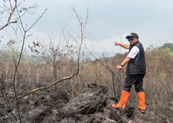 Bupati Kuningan Dian Rachmat Yanuar meninjau langsung karhutla di Gunung Ciremai.(Foto: Humas Pemkab Kuningan)
