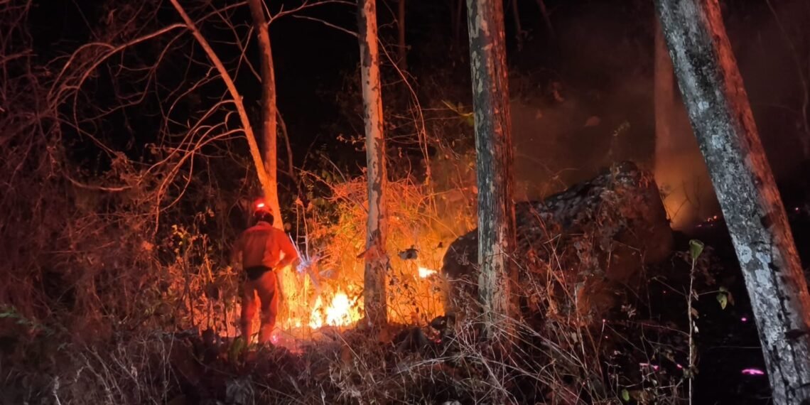 Kondisi lahan yang terbakar di Kabupaten Ponorogo, Jawa Timur pada Jumat (11/9). (Foto: BPBD Kabupaten Ponorogo.)