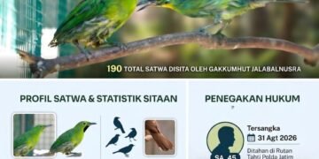 Infografis kasus perdagangan ilegal Cucok Ijo di Surabaya.(Foto: Dok. Kemenhut.)