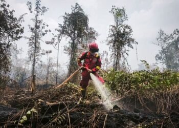 Penanganan karhutla.(Foto: Humas Kemenhut)