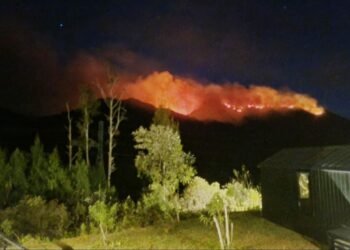 Kepulan asap membubung dari kawasan hutan di lereng Gunung Ijen, Kabupaten Banyuwangi, Jawa Timur. Karhutla di Jatim dikabarkan meluas. (Foto: Istimewa via BNPB)
