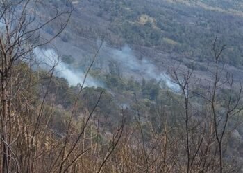 Kebakaran diketahui pertama kali pada Kamis, 10 September 2026 pukul 16.30 WIB, di kawasan Savana Pengol dan kemudian berkembang hingga ke arah Gunung Kursi.(Foto: Humas Kemenhut)