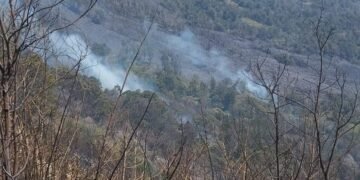 Kebakaran diketahui pertama kali pada Kamis, 10 September 2026 pukul 16.30 WIB, di kawasan Savana Pengol dan kemudian berkembang hingga ke arah Gunung Kursi.(Foto: Humas Kemenhut)