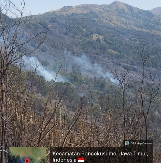 Kebakaran diketahui pertama kali pada Kamis, 10 September 2026 pukul 16.30 WIB, di kawasan Savana Pengol dan kemudian berkembang hingga ke arah Gunung Kursi.(Foto: Humas Kemenhut)