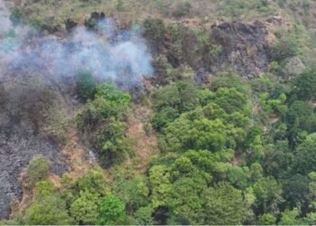 Kebakaran di Gunung Ciremai.(Foto: TNGC Via Kemenhut)