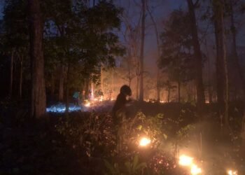 Kebakaran hutan.(Foto: Humas Kemenhut)