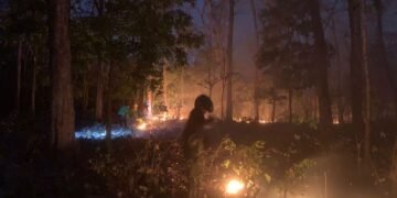 Kebakaran hutan.(Foto: Humas Kemenhut)