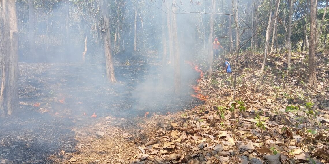 Kondisi lahan seluas 5 hektar yang terbakar di Kabupaten Kebumen, Jawa Tengah pada Minggu (20/9). (Foto: BPBD Kabupaten Kebumen.)