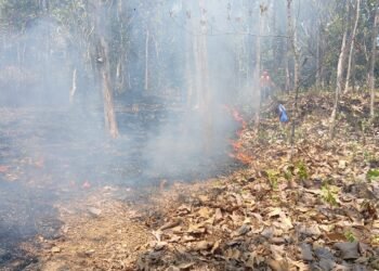 Kondisi lahan seluas 5 hektar yang terbakar di Kabupaten Kebumen, Jawa Tengah pada Minggu (20/9). (Foto: BPBD Kabupaten Kebumen.)