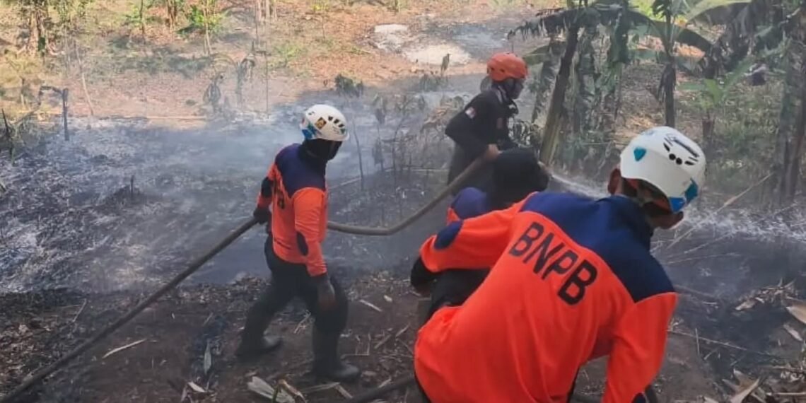 Karhutla di Sumedang.(Foto: Diskominfo Kab. Sumedang)