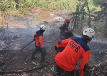 Karhutla di Sumedang.(Foto: Diskominfo Kab. Sumedang)