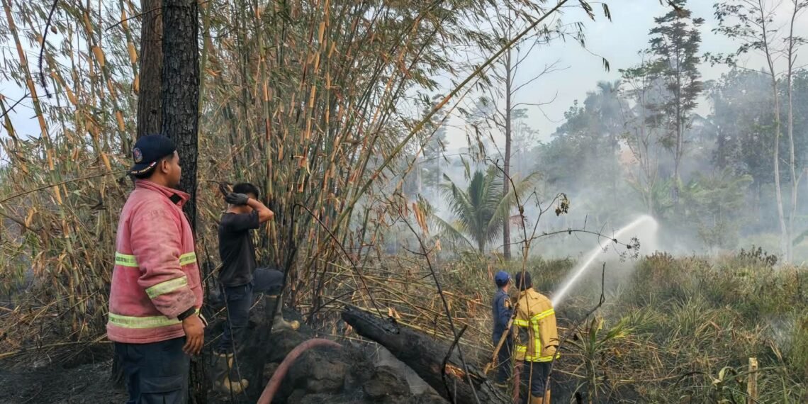 Petugas gabungan bahu membahu memadamkan lahan yang di lalap si jago merah di Desa Sima, Kecamatan Moga, Kabupaten Pemalang, Provinsi Jawa Tengah (22/9) (Foto: BPBD Kabupaten Pemalang)