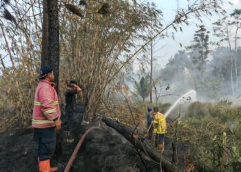 Petugas gabungan bahu membahu memadamkan lahan yang di lalap si jago merah di Desa Sima, Kecamatan Moga, Kabupaten Pemalang, Provinsi Jawa Tengah (22/9) (Foto: BPBD Kabupaten Pemalang)