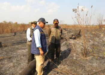 Kepala BNPB Letjen TNI Dr Suharyanto S.Sos., M.M , Menteri Kehutanan RI Raja Juli Antoni dan Kepala Otorita Ibukota Nusantara (OIKN) Basuki Hadimuljono saat meninjau langsung dan memberikan dukungan penuh kepada Satgas Darat di wilayah terdampak karhutla Bukit Tengkorak, Kecamatan Sepaku, Kabupaten Penajam Paser Utara, Provinsi Kalimantan Timur (14/9) (Foto: Bidang Komunikasi Kebencanaan/Beratria Sukisno)