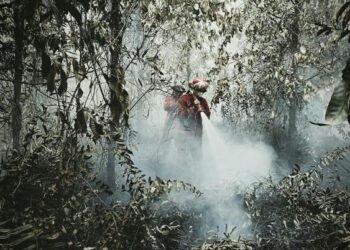 Operasi darat pemadaman karhutla.(Foto: Humas Kemenhut)