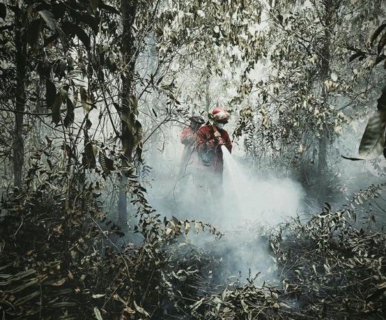 Operasi darat pemadaman karhutla.(Foto: Humas Kemenhut)