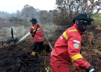 Operasi pemadaman karhutla.(Foto: Humas Kemenhut)